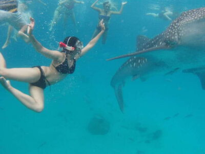 Cebu Whale Shark Swimming & Kawasan Canyoneering Group Tour - The “wait and board” reality: timing can stretch