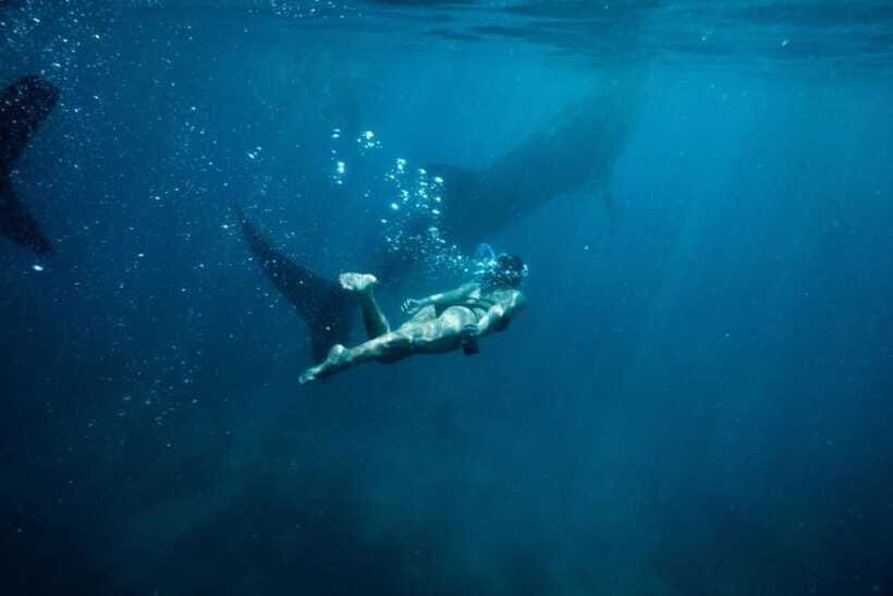 Cebu Whale Shark Swimming & Kawasan Canyoneering Group Tour - Pickup and drop-off: what can make or break the day
