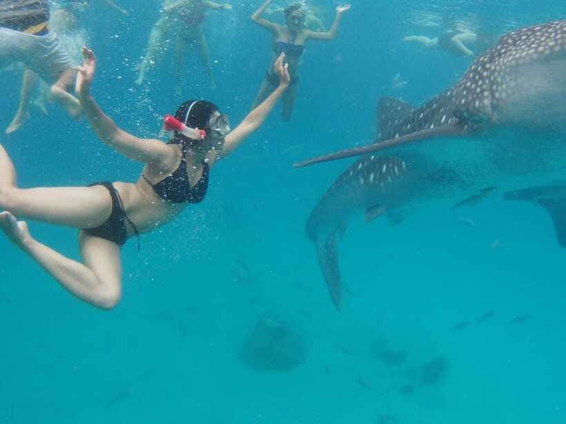 Cebu Whale Shark Swimming & Kawasan Canyoneering Group Tour - What to bring (and what to pay for on the spot)