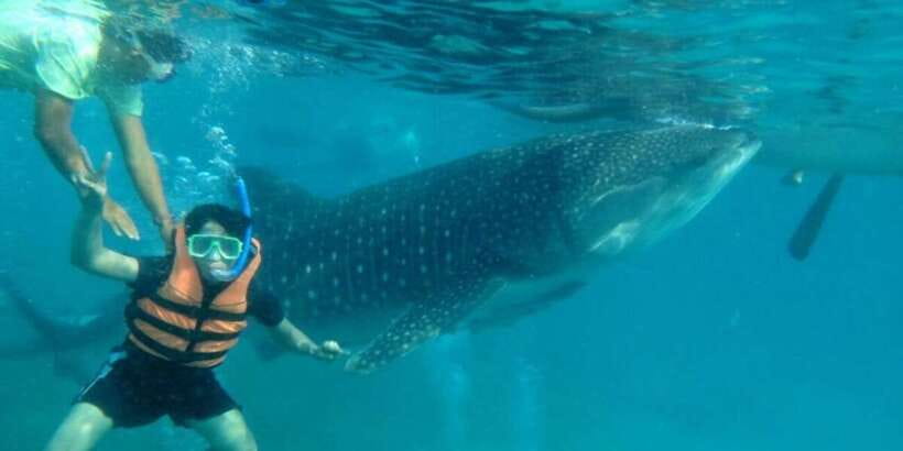 Cebu: Whale Shark Swimming, Sumilon Island and Kawasan Falls - What to pack for whale sharks, sandbar, and waterfalls