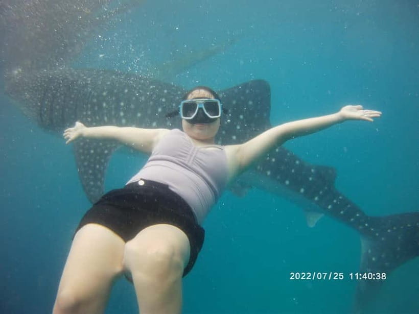 Cebu: Whale Sharks, Kawasan Falls, & Sardines Run Snorkeling - The driving reality across Cebu: comfort helps