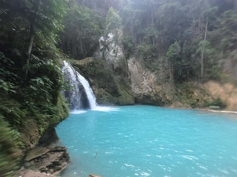 Cebu: Whale Sharks, Kawasan Falls, & Sardines Run Snorkeling - Price and value for this 3-stop Cebu nature day