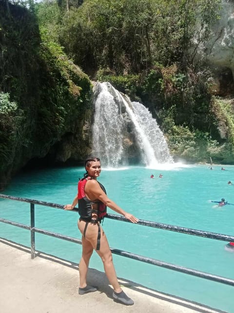 Cebu: Whale Sharks, Kawasan Falls, & Sardines Run Snorkeling - Moalboal Sardines Run snorkeling with sea turtles