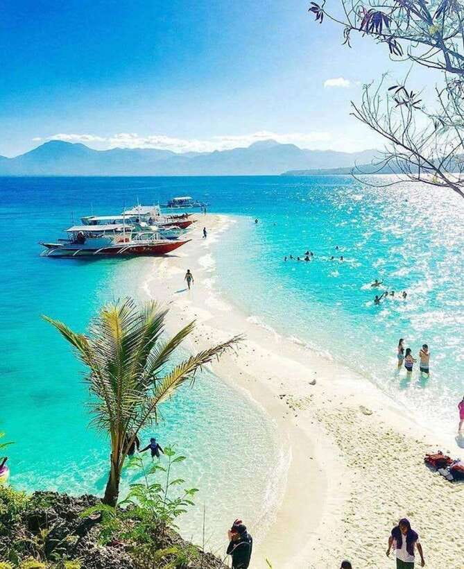 Cebu: Whaleshark Encounter, Tumalog Falls & Sumilon Sandbar - Price and Value: What $126 Really Buys You