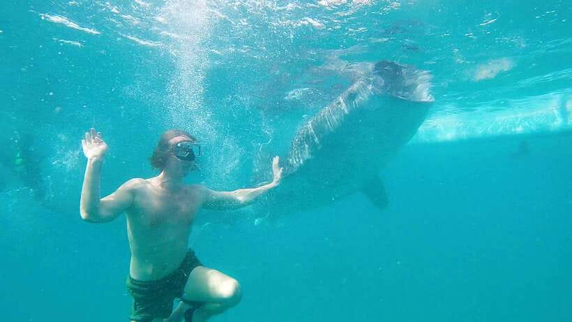 Cebu: Whaleshark Swimming & Kawasan falls Canyoneering Tour - Lunch after canyoneering: homemade Filipino and a place to breathe