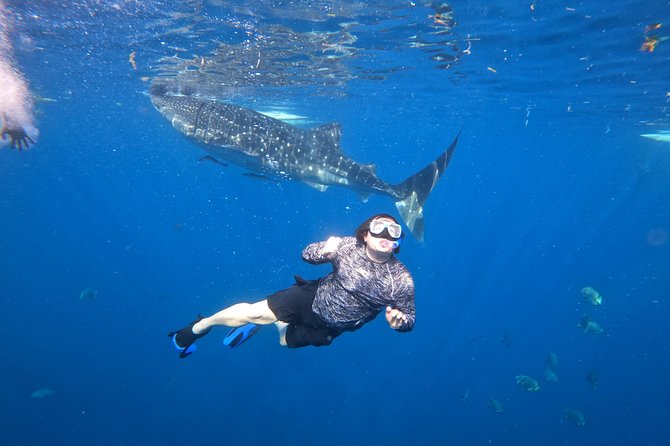 Cebu Whaleshark Tour - Tumalog Falls: a cool break that changes the mood