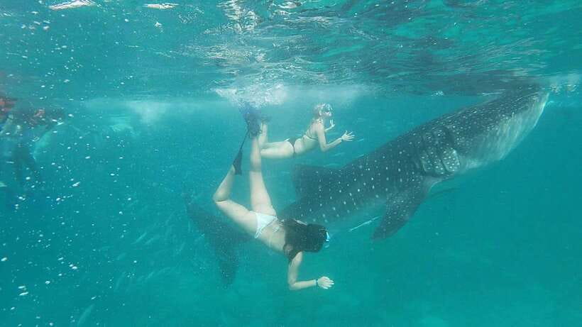 Cebu: WhaleShark , Tumalog Falls, & Sardine Run Snorkeling - Tumalog Falls: your one-hour reset from the ocean