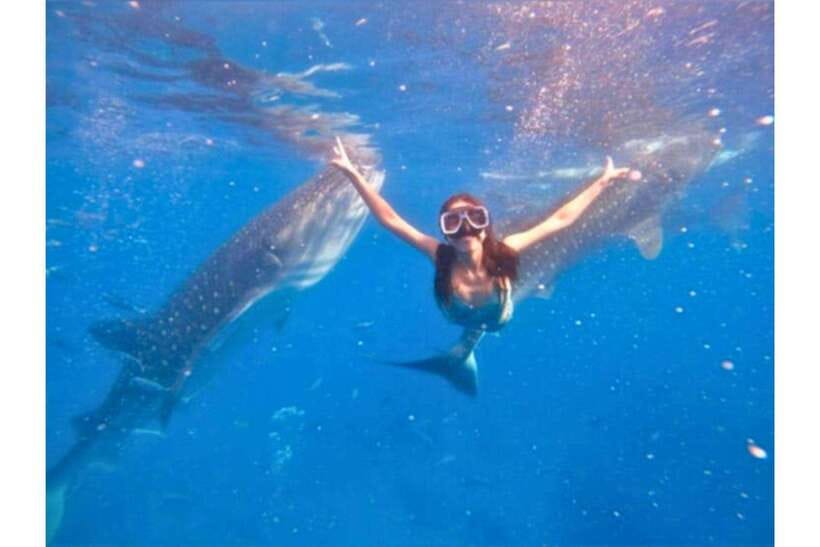 Cebu:Whale Shark, Waterfall, and Sardine Run Group Tour+Meal - How this South Cebu loop works in one day