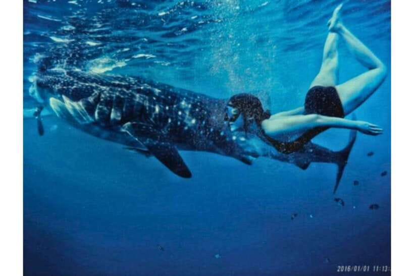 Cebu:Whale Shark, Waterfall, and Sardine Run Group Tour+Meal - What to bring so the day feels easy, not annoying