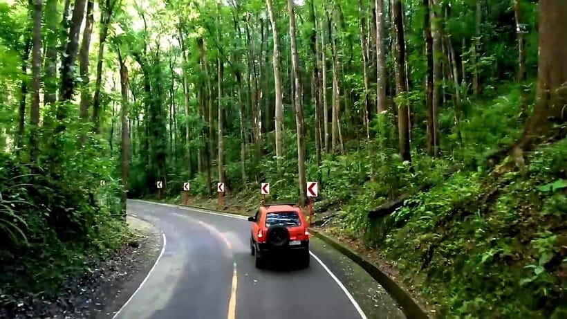 From Cebu: Bohol Countryside & Buffet Lunch Exclusive Tour - Chocolate Hills: The Iconic View With a Guided Walk Through the Details