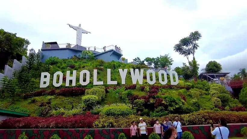 From Cebu: Bohol Countryside & Buffet Lunch Exclusive Tour - Who Should Book This Tour (and Who Might Prefer a Different Format)