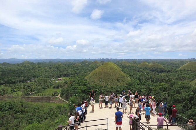From Cebu: Bohol Countryside Private Tour & Loboc River Cruise - Tarsier Sanctuary: tiny primates, real rules, clear guidance
