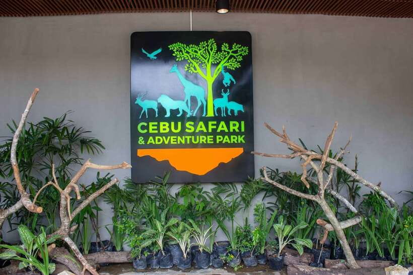 From Cebu City: Cebu Safari and Adventure Park Day Tour - African Savanna and Michelle’s Garden: Walkable highlights with real schedule pressure