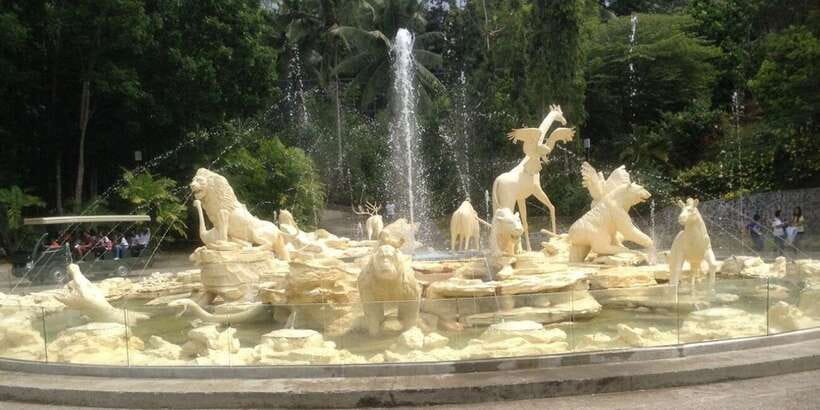 From Cebu City: Cebu Safari and Adventure Park Day Tour - Bengal tigers and bird show times: Plan your day like a schedule fan