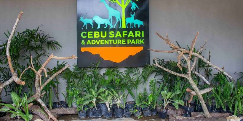From Cebu City: Cebu Safari and Adventure Park Day Tour - Who this tour suits best (and who should think twice)
