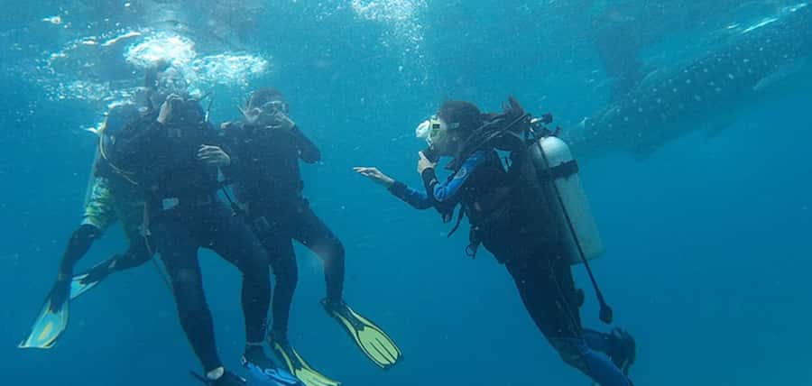From Cebu City: Scuba Diving with Whale Sharks Trip in Oslob - Orientation and Gear Check: Getting Ready Before You Hit the Water