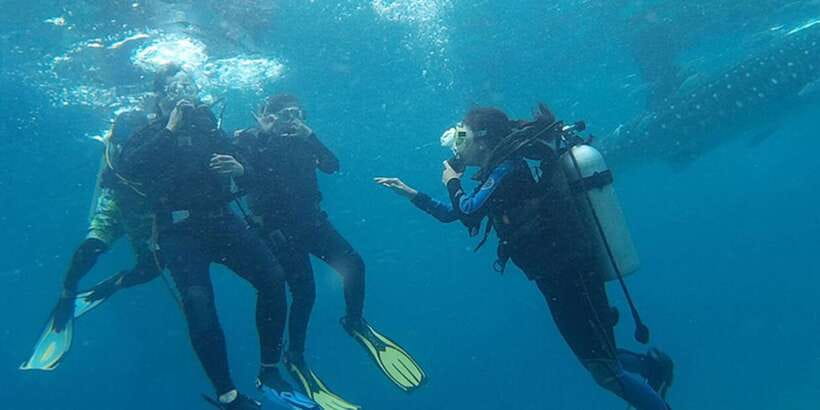 From Cebu City: Scuba Diving with Whale Sharks Trip in Oslob - Price and Value: Where the Money Goes at $172 Per Person