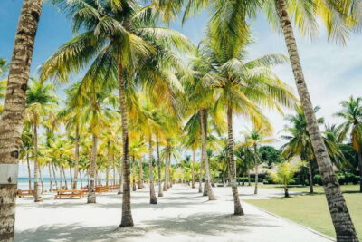 From Cebu: Day Trip to Bohol Highlights - The 8-Hour Rhythm: Timing Without the Fantasy