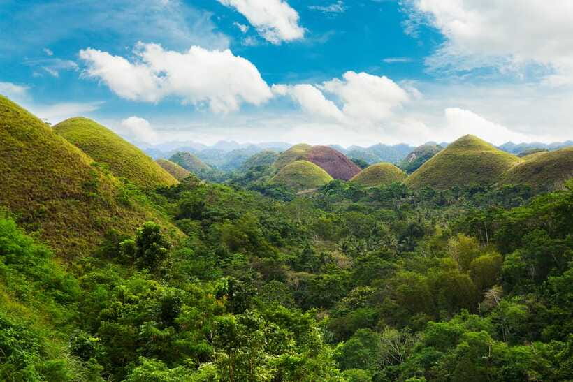 From Cebu: Day Trip to Bohol Highlights - What You’re Really Paying For (And How It Adds Up)