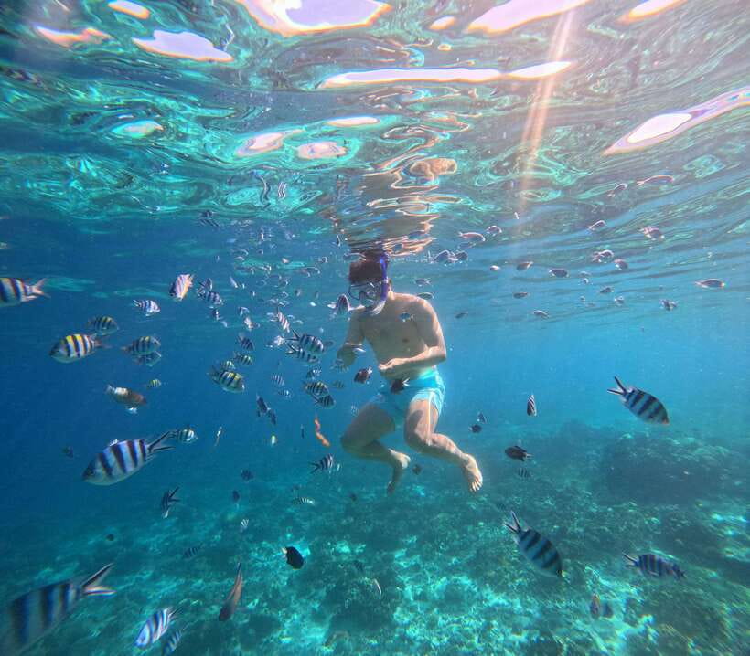 From Cebu: Island Hopping to 3 islands with BBQ lunch - Stop 2: Nalusuan Island’s white sand breaks and easy snorkeling time
