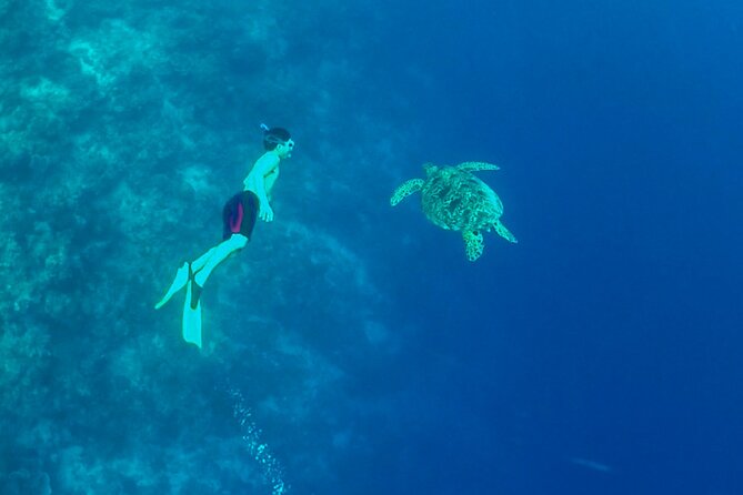 Full-Day Moalboal Islands and Kawasan Falls Small-Group Tour from Cebu - Early pickup and a 12-hour day: how the schedule really feels