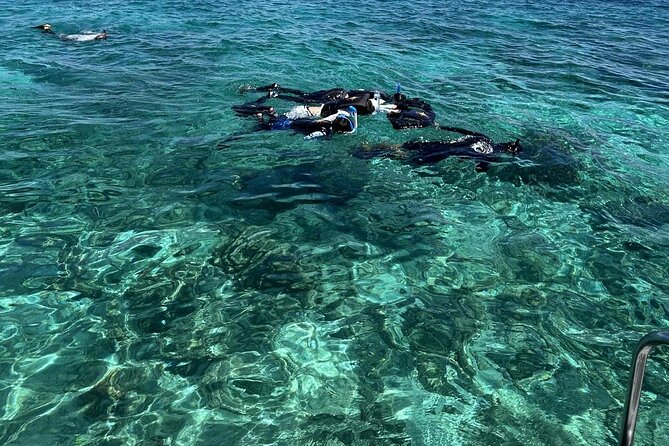 Half day tour with Snorkel at Sancturary and Sulpa island - From Shangri-La Area to the Island: The Morning Start Matters