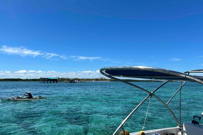 Half day tour with Snorkel at Sancturary and Sulpa island - Nalusuan Marine Sanctuary-Style Snorkeling: What You’re Set Up To See