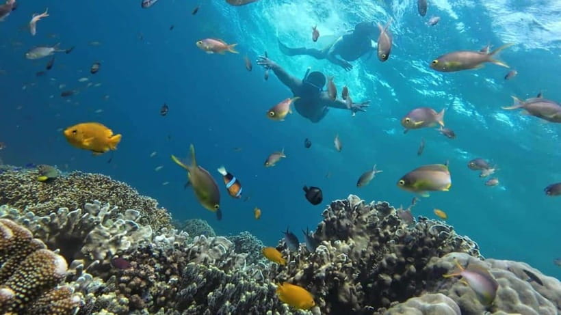 Mactan Island Hopping Gilutungan, Caohagan, Nalusuan + Lunch - Guide Energy Matters: What You Can Do to Get the Best Day
