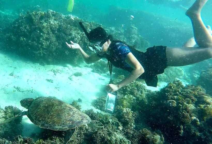 Moalboal: Pescador Island Hopping Adventure and Sardine Run - Snorkeling Rules You’ll Thank Yourself For