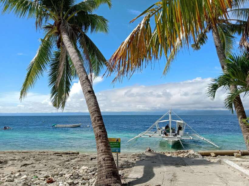 Moalboal Sardine Run, Sea Turtle & Mantayupan Falls - How the Guide and Small Group Improve Your Day