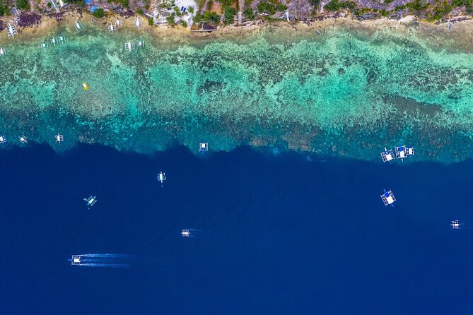 Moalboal Sardines Run Private Tour w/ Transfers Option - Entering the water: your 1-hour Sardines Run plan in Moalboal