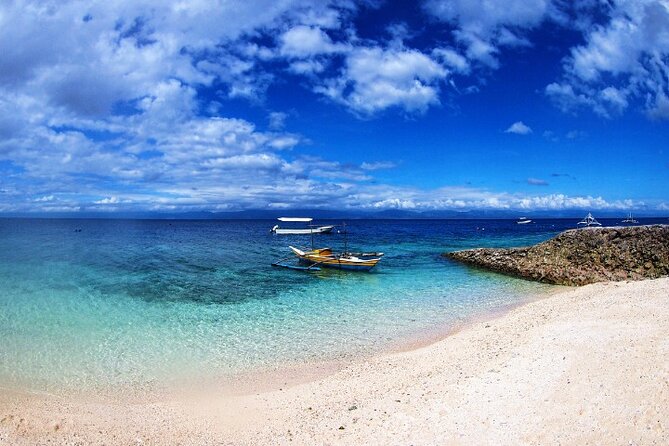 Moalboal Sardines Run Private Tour w/ Transfers Option - GoPro, video help, and getting the shots without stress
