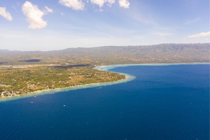 Moalboal Sardines Run Private Tour w/ Transfers Option - When you should book this Moalboal Sardines Run Private Tour