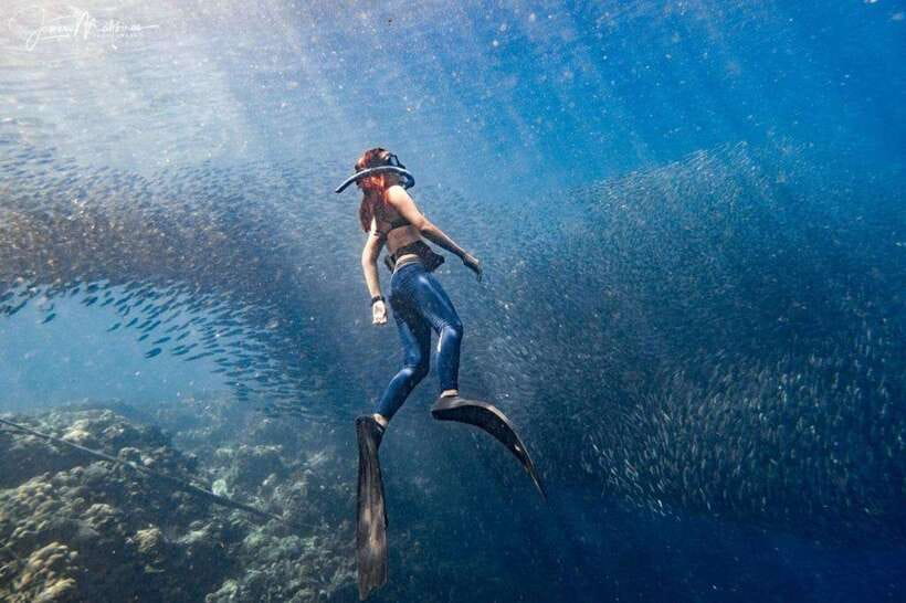 Moalboal: Scuba Diving and Pescador Island Hopping - Moalboal and Pescador: Why This Part of Cebu Works