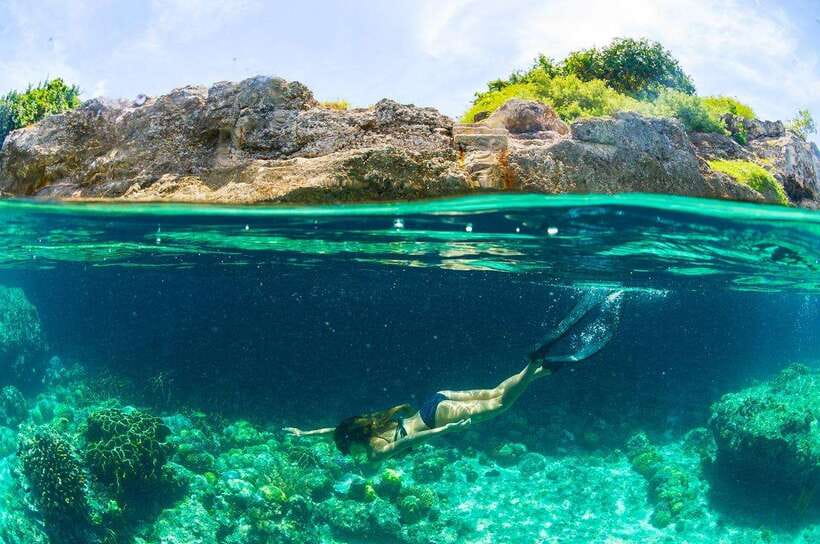 Moalboal: Scuba Diving and Pescador Island Hopping - Between Sessions: Gear, Meal, and How to Feel Good Underwater