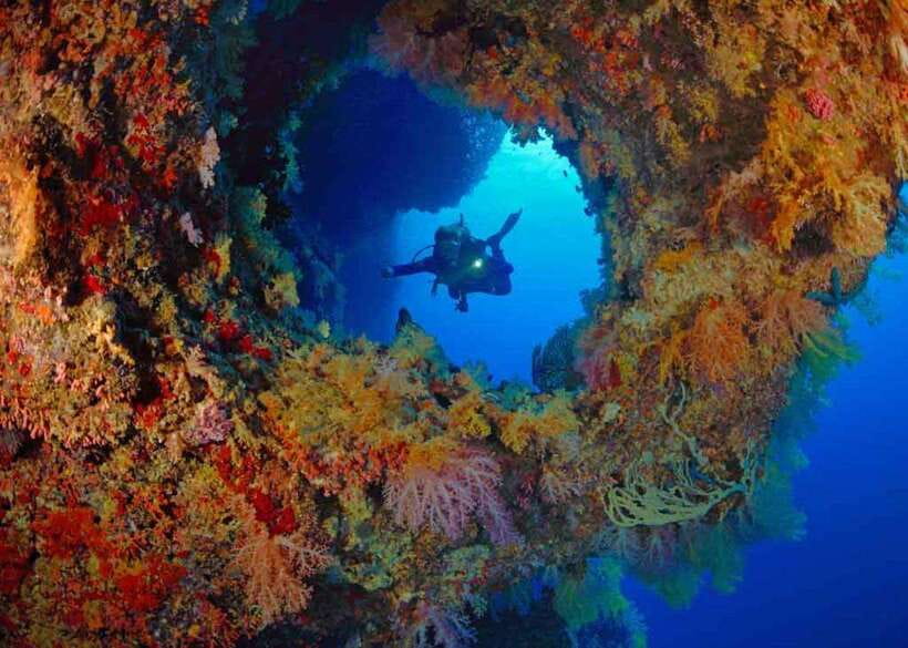 Moalboal: Scuba Diving and Pescador Island Hopping - Safety, Rules, and Who This Trip Fits Best