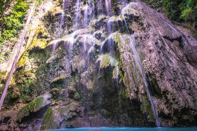 Oslob Whale Shark Private Tour with Sumilon & Tumalog Falls - Price and Value: Is $198.45 Worth It?