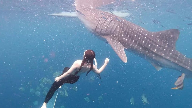 Oslob Whale Shark Swimming & Kawasan Falls Canyoneering - Kawasan Falls Canyoneering: The Real Action in Badian