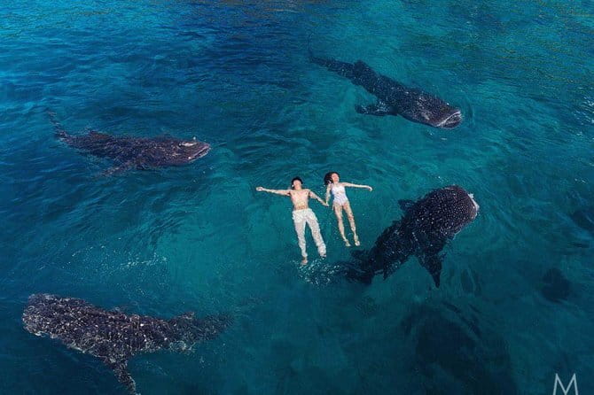 Oslob Whale Shark & Tumalog Waterfalls & Sumilon Sandbar - Gear, comfort, and the small choices that change your day