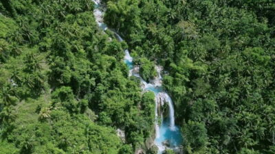 Oslob: Whale Sharks, Inambakan Falls & Moalboal Sardines - The super-early start from Cebu City or Mactan