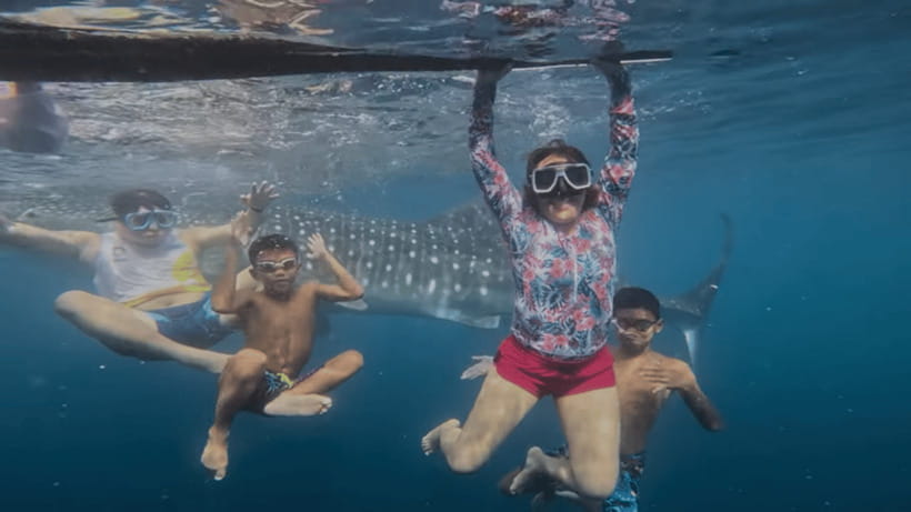 Oslob: Whale Sharks, Tumalog Falls & Sumilon Trio Adventure - Key Takeaways Before You Go