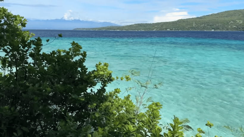 Oslob: Whale Sharks, Tumalog Falls & Sumilon Trio Adventure - Should You Book This Oslob + Tumalog Falls + Sumilon Trio?