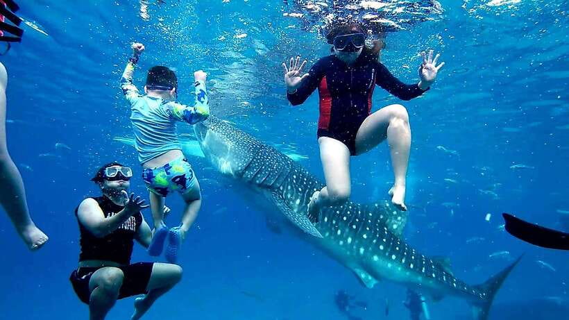 Oslob: Whaleshark Swimming, Inambakan Falls & Moalboal Tour - Inambakan Falls in Ginatilan: turquoise water plus a jungle reset