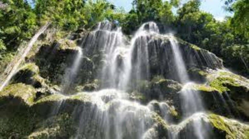 Oslob: Whaleshark Swimming, Tumalog Falls & Sumilon Island - Key points before you go