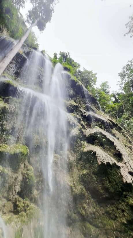 Oslob: Whaleshark Swimming, Tumalog Falls & Sumilon Island - Who should book this Oslob tour, and who should think twice