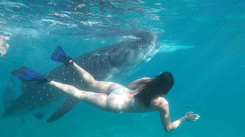 Oslob: Whaleshark Swimming, Tumalog Falls & Sumilon Island - Tumalog Falls break: entrance, guided walk, and timing the dip