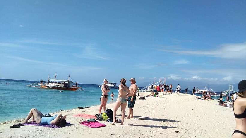 Oslob: Whaleshark Swimming, Tumalog Falls & Sumilon Island - Culinary break and local flavors: what to plan for lunch