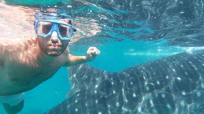 Oslob: Whaleshark Watching, Sumilon Island & Monkey Viewing - Sumilon Island Sandbar: clear-water swimming with a shifting feel