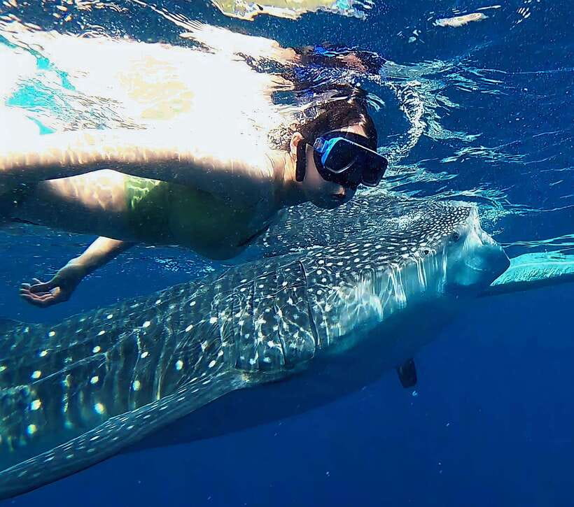 Oslob: Whaleshark Watching, Tumalog Falls & Sumilon Island - Whale sharks, waterfalls, and a sandbar: how this day really feels