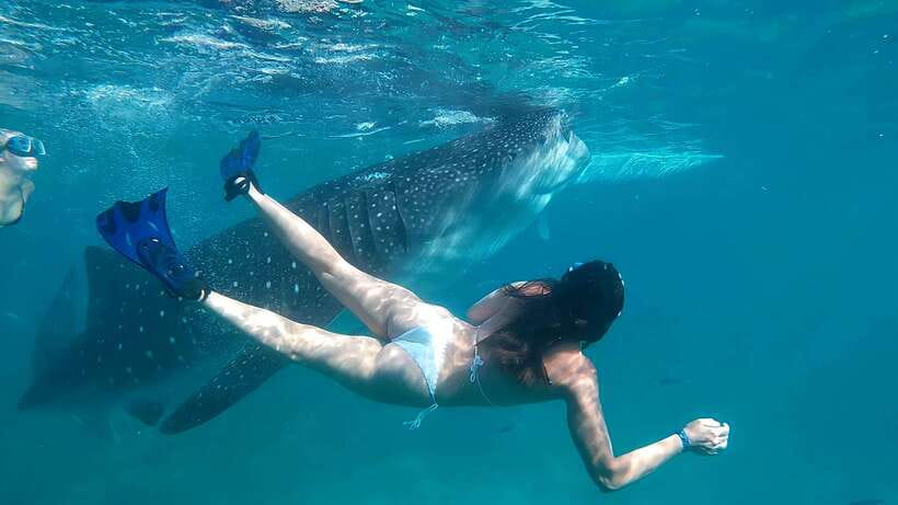 Oslob: Whaleshark Watching, Tumalog Falls & Sumilon Island - The $103 price: what you’re paying for (and why it adds up)